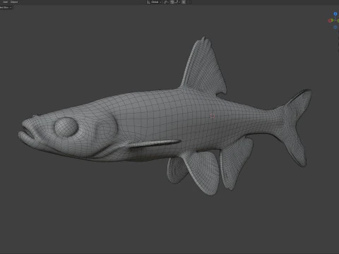 Pugnose Minnow 3D Model