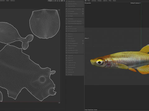 Pygmy Killifish 3D Model