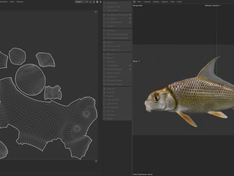 Quillback 3D Model