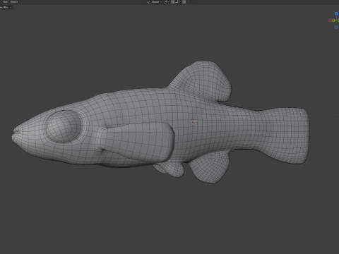 雨水メダカ 3Dモデル