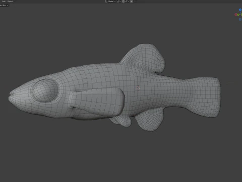 Rainwater Killifish 3D Model