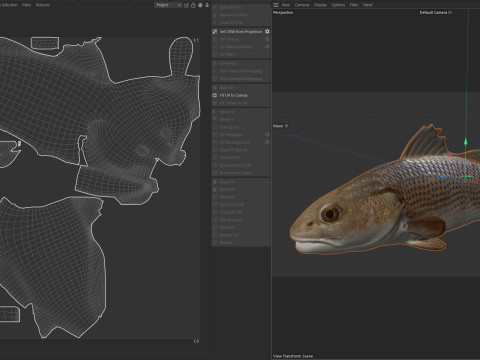 レッドドラムフィッシュ 3Dモデル