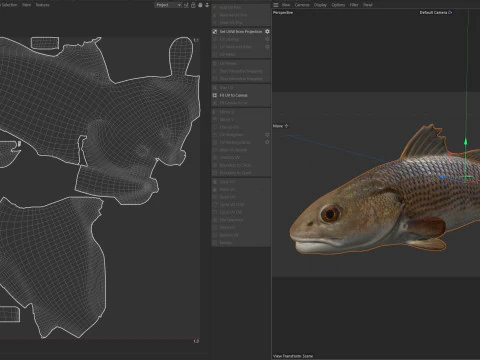 Red Drum fish 3D Model