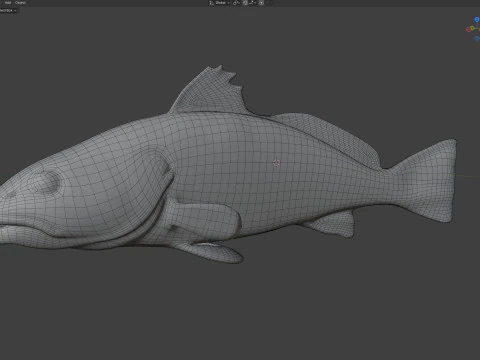 Red Drum fish 3D Model