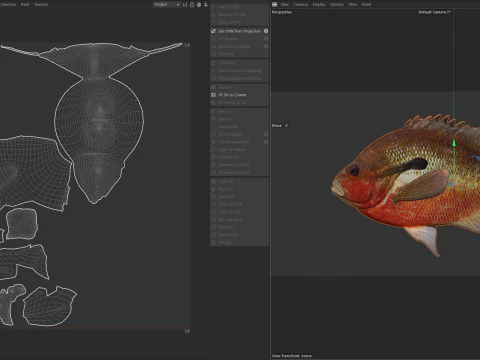 Redbreast Sunfish 3D Model