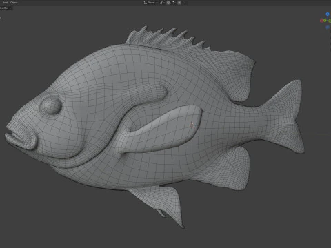 Redbreast Sunfish 3D Model