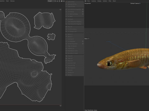 レッドフェイストップミノーの魚 3Dモデル