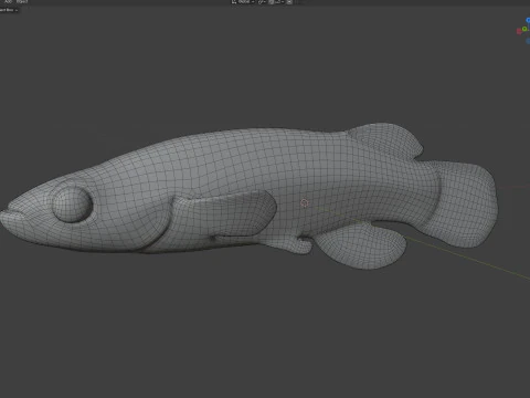 Redface Topminnow fish 3D Model