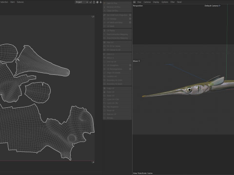 アカヒレ針魚 3Dモデル