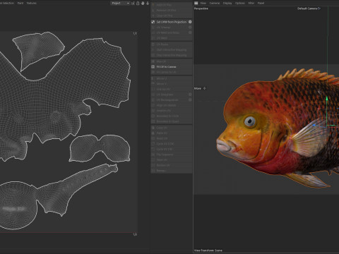 赤毛のシクリッドの魚 3Dモデル