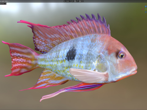 レッドストライプアースイーターフィッシュ 3Dモデル