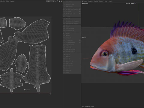 Redstriped Eartheater fish 3D Model