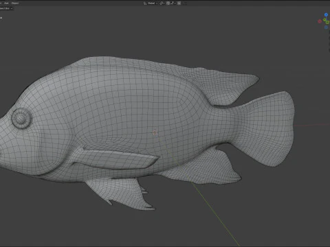 Rio Grande Cichlid fish 3D Model