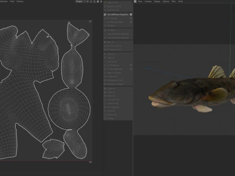 River Goby fish 3D Model