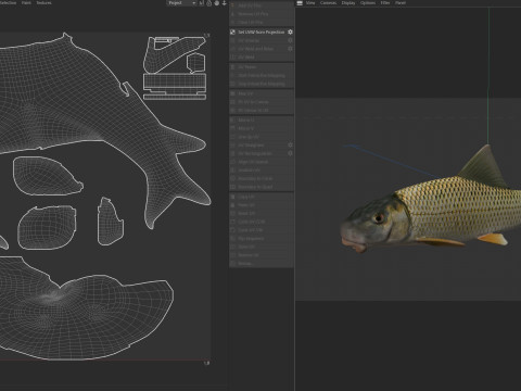 Fluss-Redhorse-Fisch 3D Modell