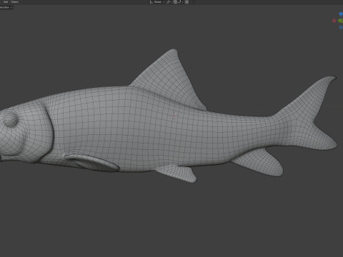 Fluss-Redhorse-Fisch 3D Modell
