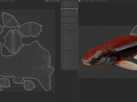 Rough Shiner fish 3D Model