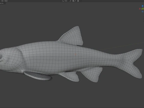 Rough Shiner fish 3D Model