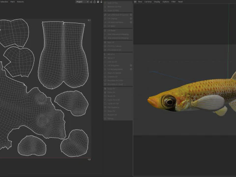 Russetfin Topminnow fish 3D Model