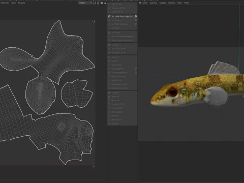Saddleback Darter fish 3D Model