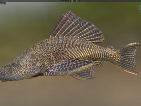 Sailfin Catfishes fish 3D Model