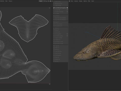 Sailfin Catfishes fish 3D Model