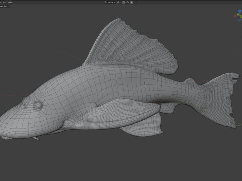 旗鳍鲶鱼鱼 3D 模型