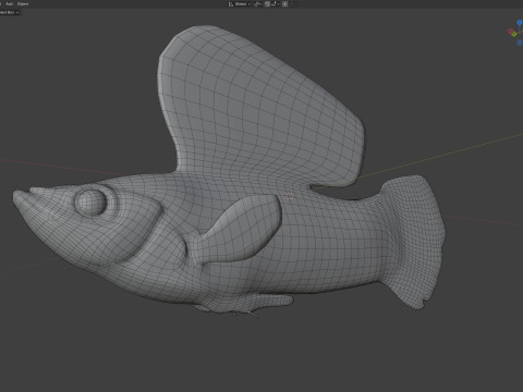 帆鳍莫莉鱼 3D 模型