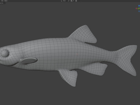 Sailfin Shiner-Fisch 3D Modell
