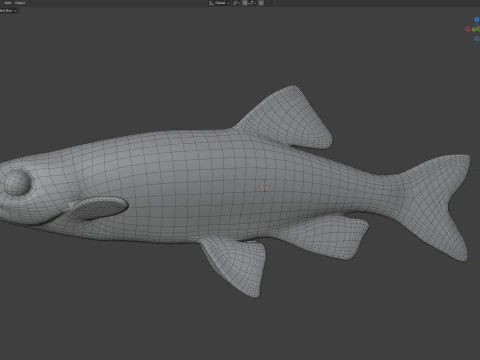 Sailfin Shiner fish 3D Model