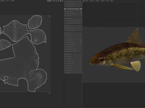 Peixe Chubsucker Sharpfin Modelo 3D