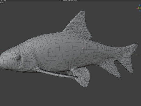 Peixe Chubsucker Sharpfin Modelo 3D