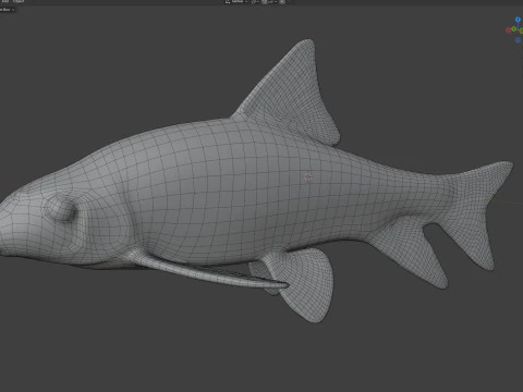 Pesce Chubsucker pinna affilata Modello 3D