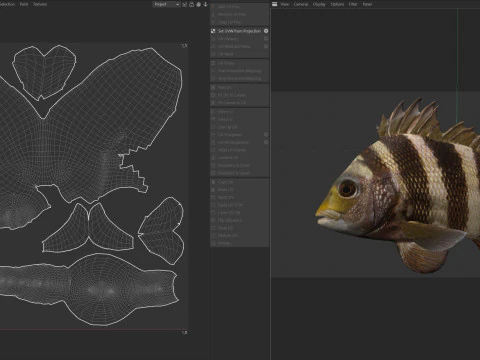 Poisson t&ecirc;te de mouton Modèle 3D