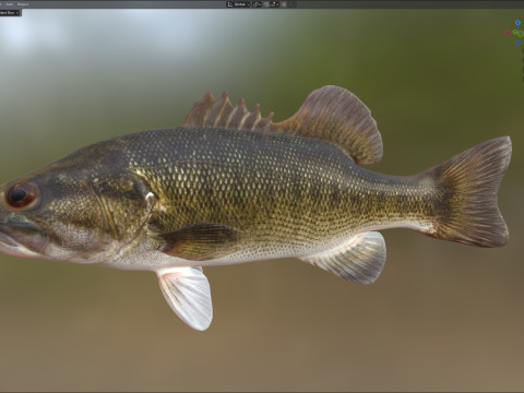 Pescado bajo Modelo 3D