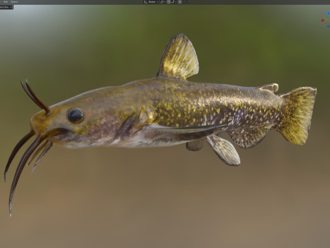 Poisson barbotte escargot Modèle 3D