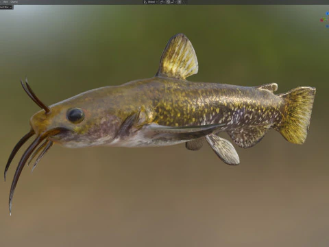 Snail Bullhead fish 3D Model