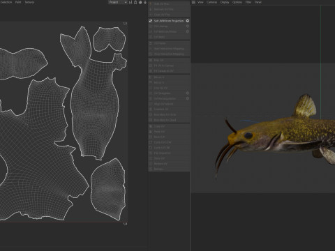 Poisson barbotte escargot Modèle 3D