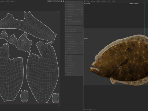 Southern Flounder fish 3D Model