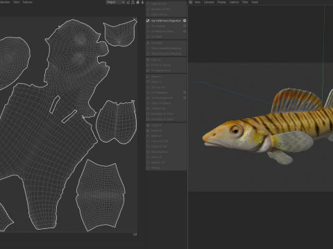Southern Logperch fish 3D Model