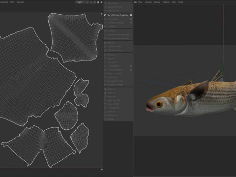 Striped Mullet fish 3D Model