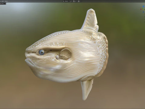 Sun fish 3D Model