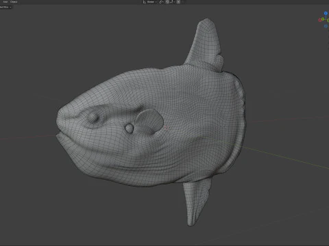 Sun fish 3D Model