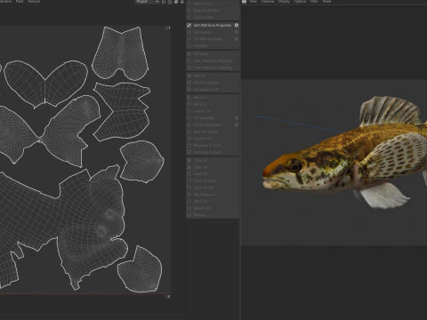Swamp Darter fish 3D Model
