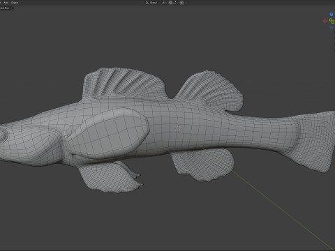 Sumpf-Darter-Fisch 3D Modell