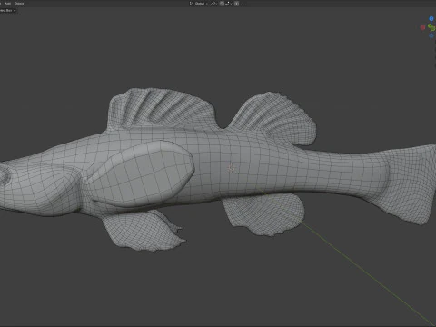 Swamp Darter fish 3D Model