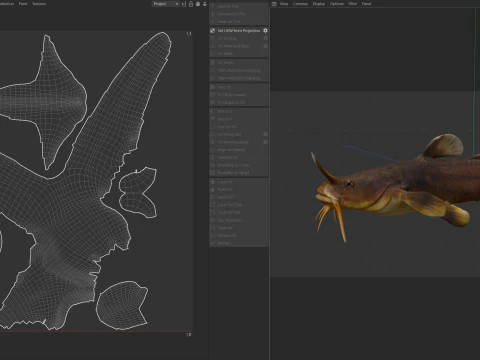 Tadpole Madtom fish 3D Model