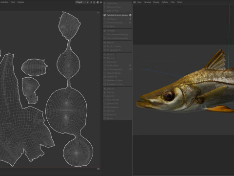 Tarpon Snook fish 3D Model