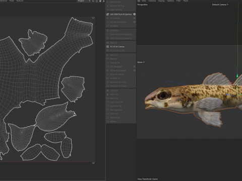 Tessellated Darter fish 3D Model