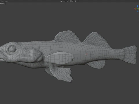 Tessellated Darter fish 3D Model